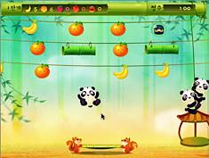 Panda Spiele Panda Spiele